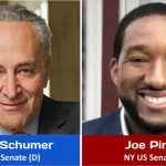 2022 NY Senate Race
