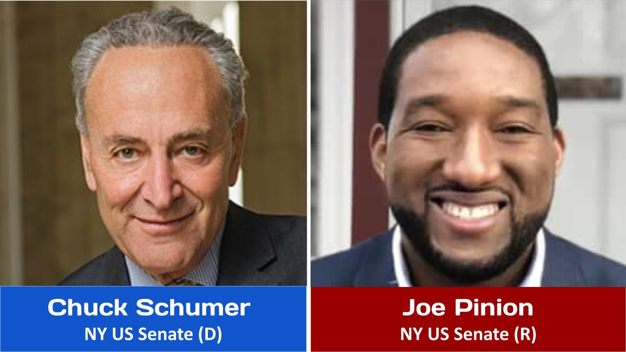 2022 NY Senate Race